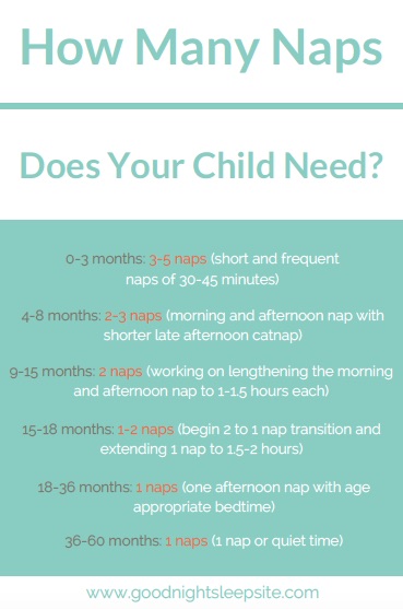 How_Many_Naps_Full