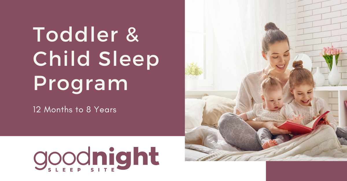 Online Toddler Sleep Programs 